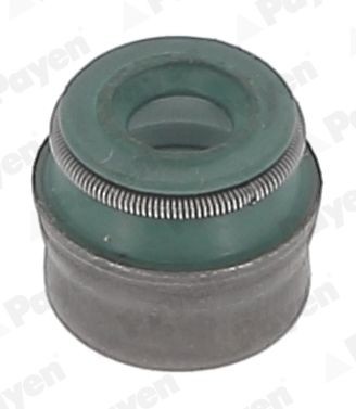 PAYEN Valve stem seal Article number: PA5041 cheaply