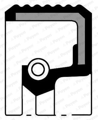 PAYEN Crankshaft seal Article number: NA5016 cheaply