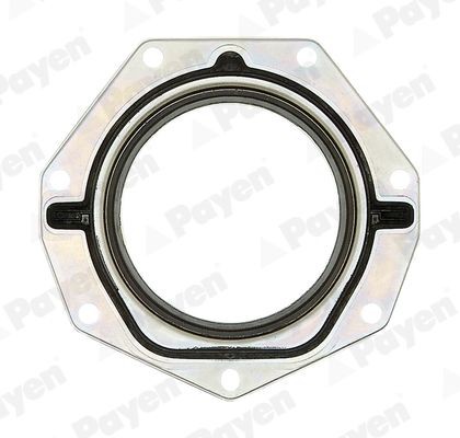 PAYEN Crankshaft seal Article number: NF886 cheaply