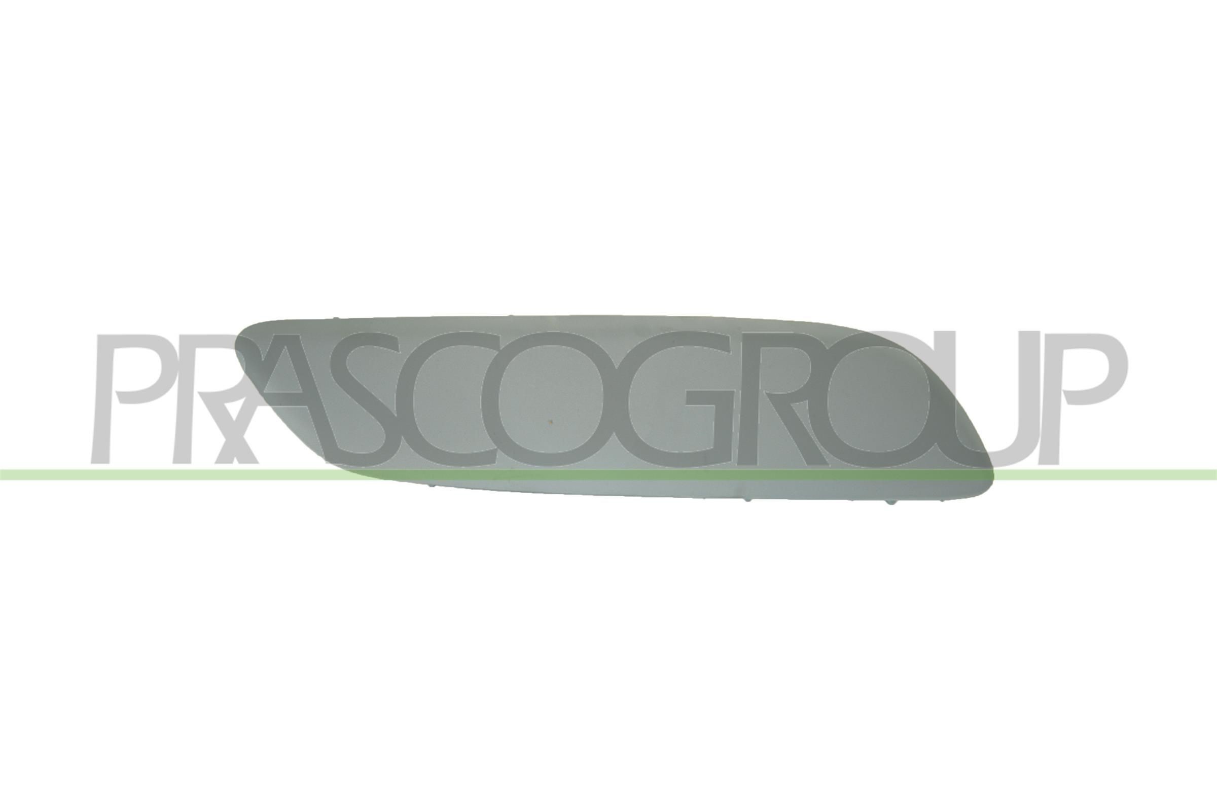 PRASCO Bumper moulding Premium Article number: PG4221243 cheaply