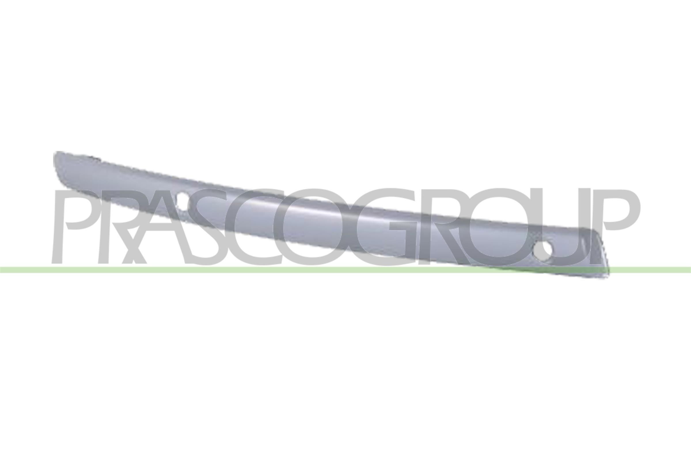 PRASCO Bumper moulding Premium Article number: BM1211232 cheaply