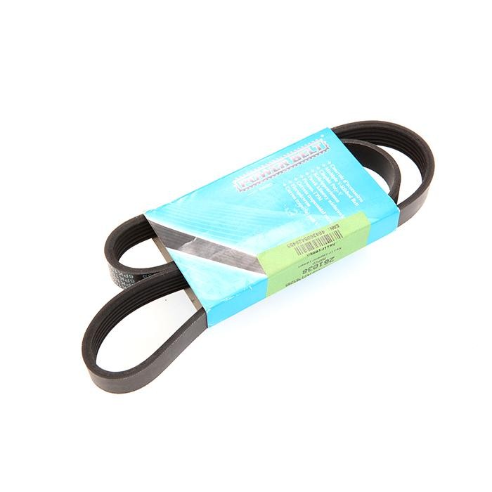 MAPCO Serpentine belt Article number: 261038 cheaply