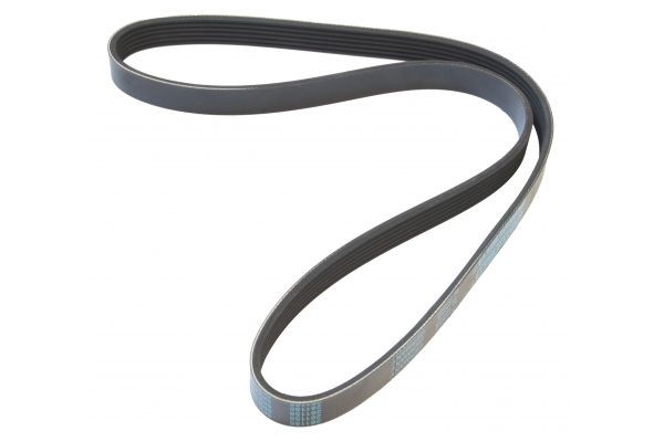 MAPCO Serpentine belt Article number: 261155 cheaply