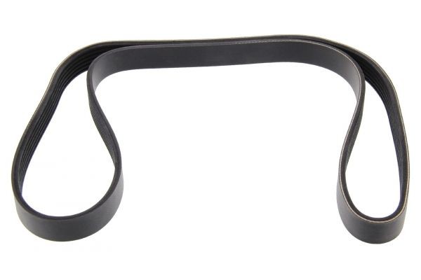 MAPCO Serpentine belt Article number: 261250 cheaply