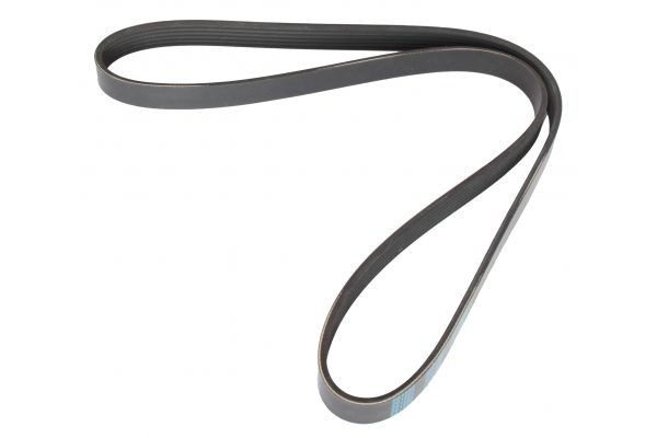 MAPCO Serpentine belt Article number: 261290 cheaply