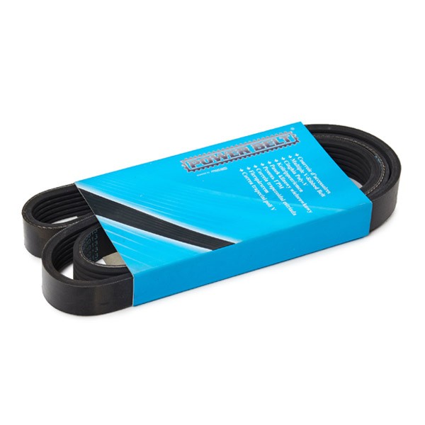 MAPCO Serpentine belt Article number: 261360 cheaply