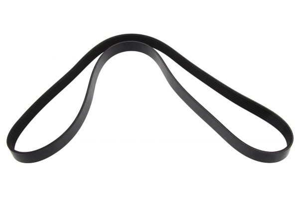 MAPCO Serpentine belt Article number: 261438 cheaply