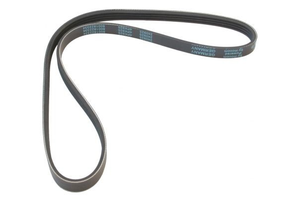 MAPCO Serpentine belt Article number: 240925 cheaply