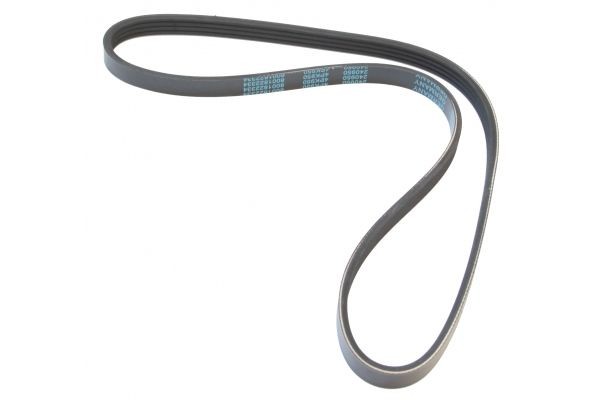 MAPCO Serpentine belt Article number: 240950 cheaply
