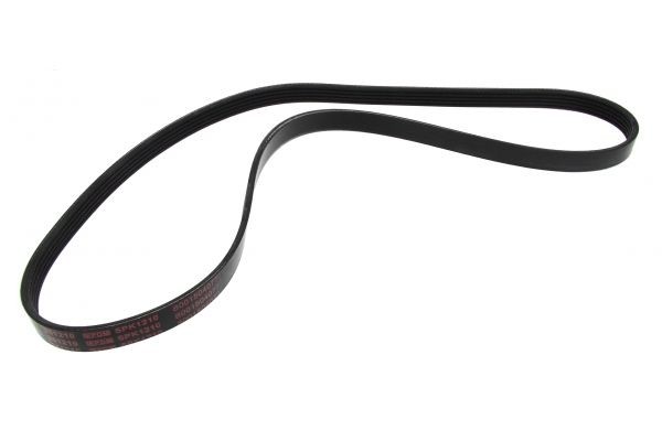 MAPCO Serpentine belt Article number: 251210 cheaply