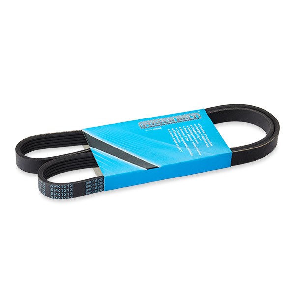 MAPCO Serpentine belt Article number: 251213 cheaply