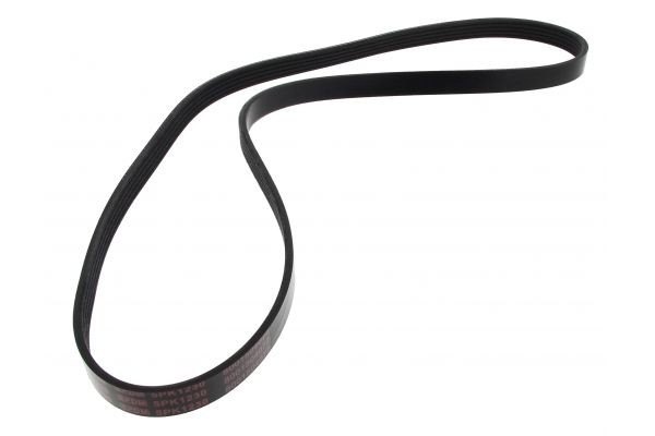 MAPCO Serpentine belt Article number: 251230 cheaply