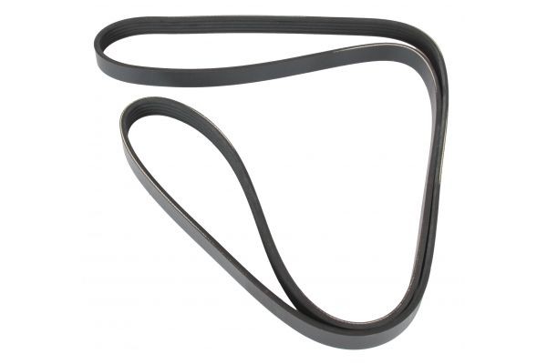 MAPCO Serpentine belt Article number: 251750 cheaply
