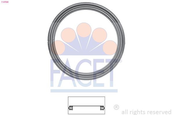 FACET Gasket, thermostat Article number: 7.9709 cheaply