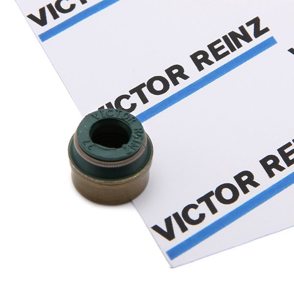 REINZ Valve stem seal Article number: 70-26058-00 cheaply