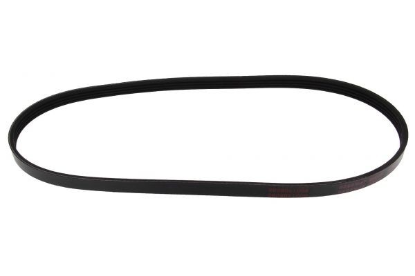 MAPCO Serpentine belt Article number: 240820 cheaply