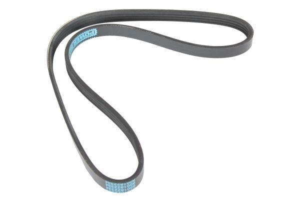MAPCO Serpentine belt Article number: 240855 cheaply