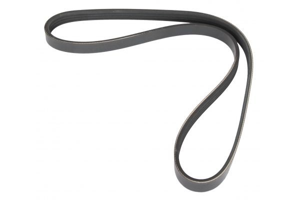 MAPCO Serpentine belt Article number: 240870 cheaply