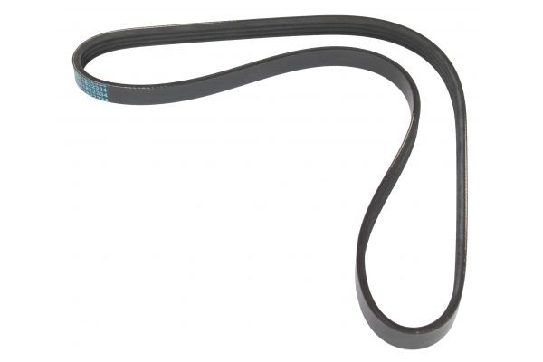 MAPCO Serpentine belt Article number: 240895 cheaply