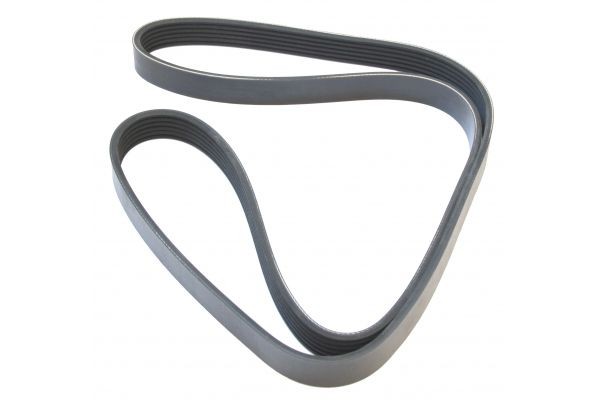 MAPCO Serpentine belt Article number: 261450 cheaply