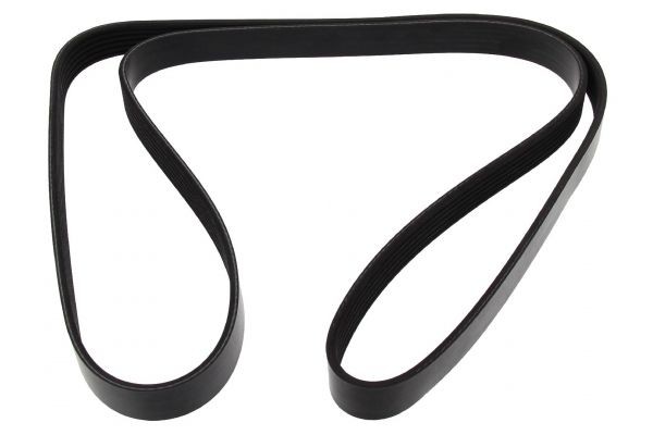 MAPCO Serpentine belt Article number: 261600 cheaply