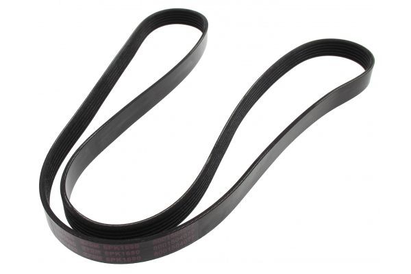 MAPCO Serpentine belt Article number: 261680 cheaply