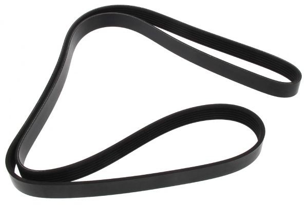 MAPCO Serpentine belt Article number: 261705 cheaply