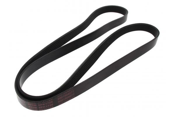 MAPCO Serpentine belt Article number: 261720 cheaply