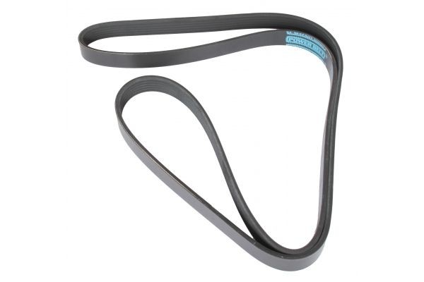 MAPCO Serpentine belt Article number: 261740 cheaply