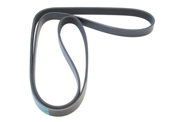MAPCO Serpentine belt Article number: 261750 cheaply