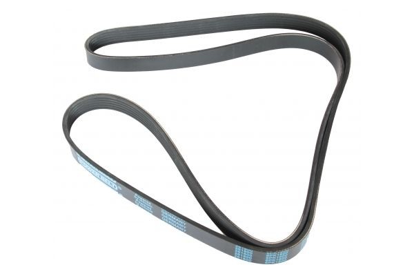 MAPCO Serpentine belt Article number: 261800 cheaply