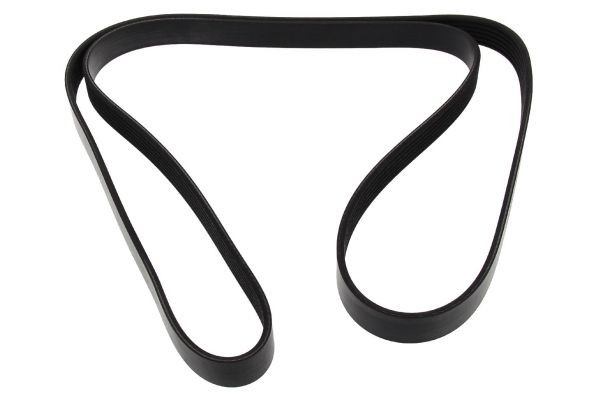 MAPCO Serpentine belt Article number: 261805 cheaply