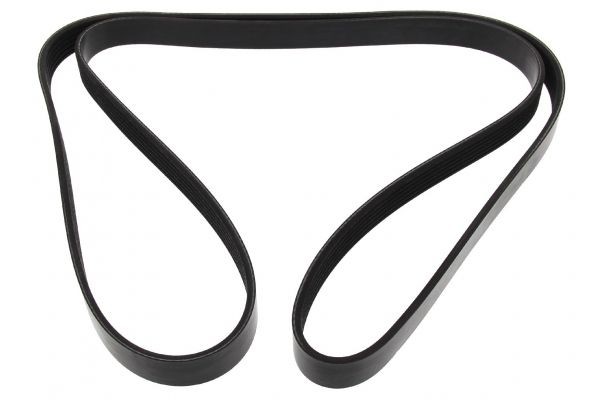 MAPCO Serpentine belt Article number: 261850 cheaply