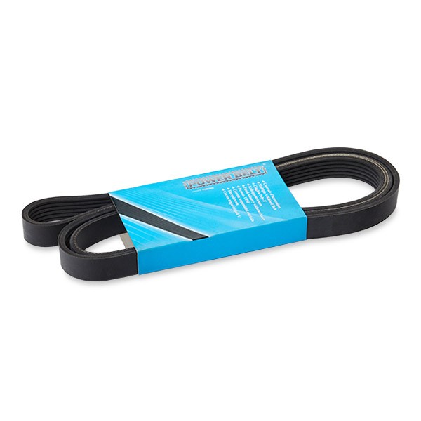 MAPCO Serpentine belt Article number: 261890 cheaply