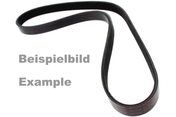 MAPCO Serpentine belt Article number: 261990 cheaply