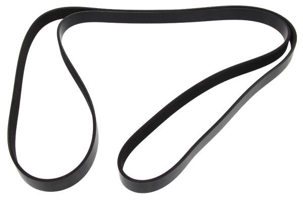 MAPCO Serpentine belt Article number: 262285 cheaply