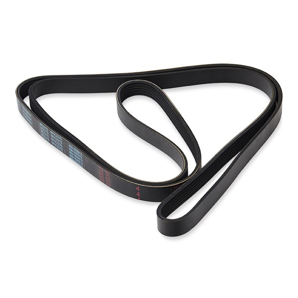 MAPCO Serpentine belt Article number: 262375 cheaply