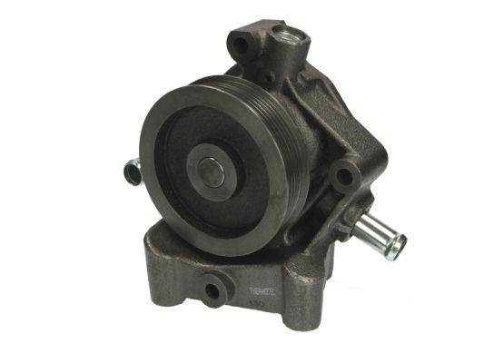 THERMOTEC Water pump Article number: D1P047TT cheaply