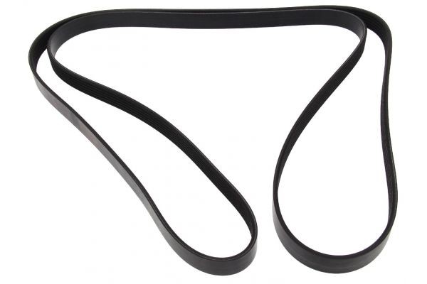 MAPCO Serpentine belt Article number: 262403 cheaply