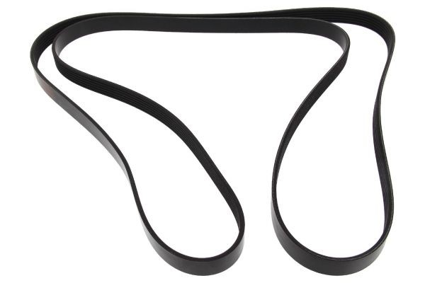MAPCO Serpentine belt Article number: 262490 cheaply