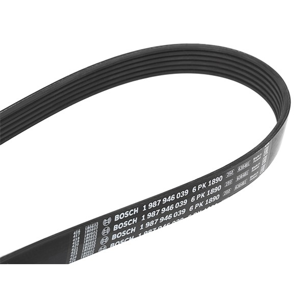 BOSCH Serpentine belt Article number: 1 987 946 039 cheaply