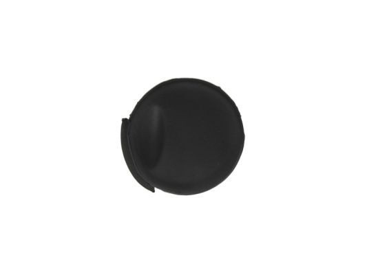 BLIC Flap, tow hook Article number: 5513-00-3505920P cheaply