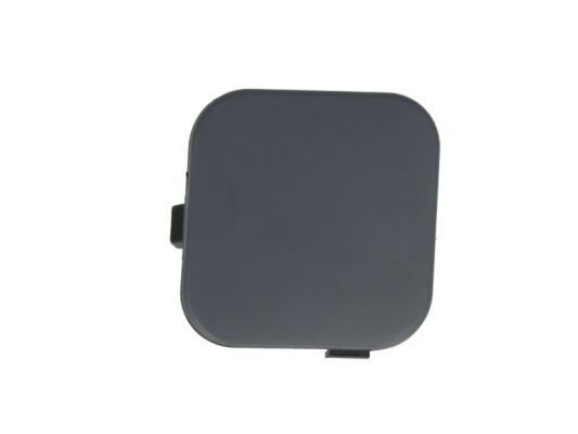 BLIC Flap, tow hook Article number: 5513-00-2533972P cheaply