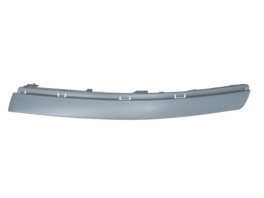 BLIC 5703-05-9539923P Bumper moulding PASSAT 2.0 115 PS Petrol 2005