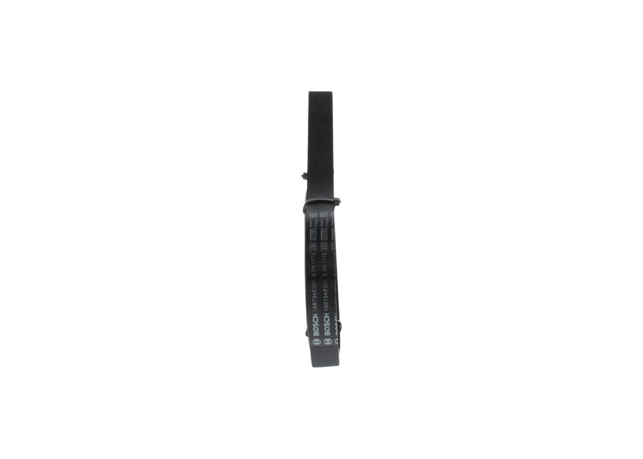 BOSCH Serpentine belt Article number: 1 987 948 301 cheaply