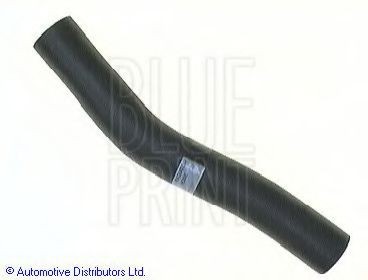 BLUE PRINT Radiator hose Article number: ADC49301 cheaply