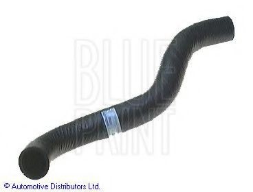 BLUE PRINT Radiator hose Article number: ADC49402 cheaply