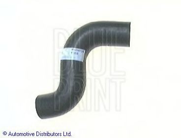 BLUE PRINT Radiator hose Article number: ADN19343 cheaply