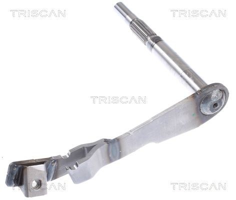 TRISCAN Crankcase gasket set Article number: 595-4176 cheaply