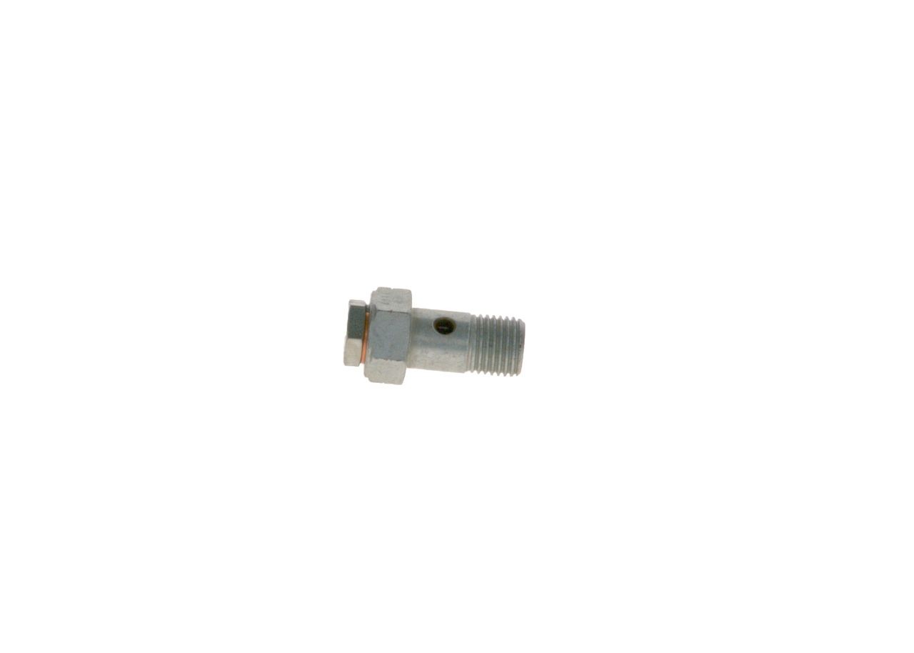 BOSCH Valve, injection system Article number: 2 417 413 101 cheaply